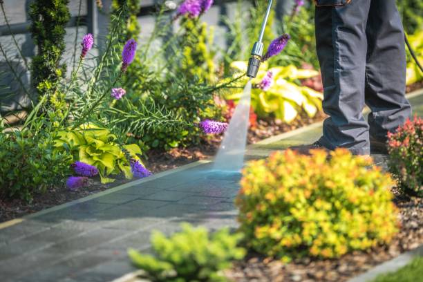 Best Pre-Holiday Cleaning  in Lakewood, SC
